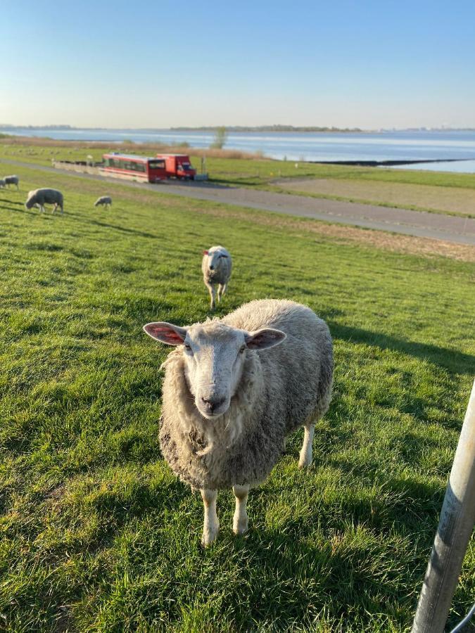 Faehrhaus Kollmar Hotell Eksteriør bilde